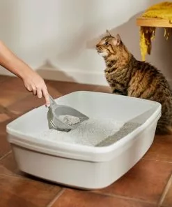 Frisco Multi-Cat Fresh Scented Clumping Clay Cat Litter -Pet Food Gear Shop 105590 PT4. SY630 V1659023723