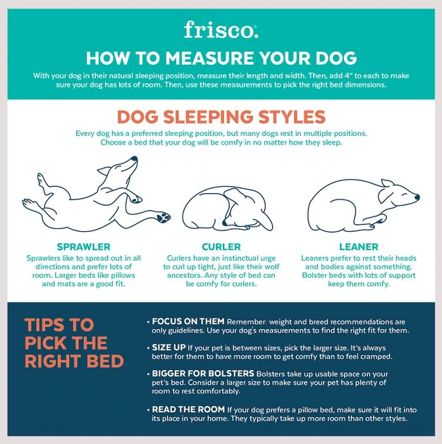 Frisco Tufted Square Orthopedic Pillow Cat & Dog Bed w/Removable Cover 6 Frisco Tufted Square Orthopedic Pillow Cat & Dog Bed w/Removable Cover - Image 4