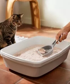 Frisco Natural Unscented Clumping Grass Cat Litter -Pet Food Gear Shop 132396 PT4. SY630 V1659023512