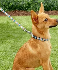 Frisco Patterned Polyester Dog Leash 8 Frisco Patterned Polyester Dog Leash -Pet Food Gear Shop 137711 PT1. SY630 V1528228451