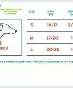 Frisco Solid Nylon Martingale Dog Collar with Buckle -Pet Food Gear Shop 139159 PT1. SY630 V1620068833