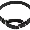Frisco Solid Nylon Slip-On Martingale Dog Collar