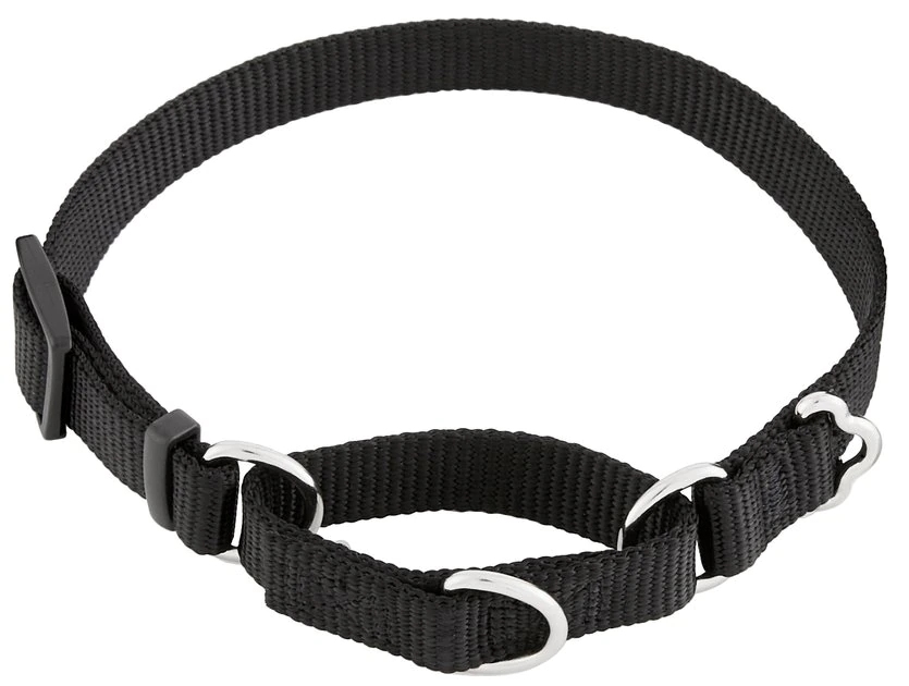 Frisco Solid Nylon Slip-On Martingale Dog Collar 3 Frisco Solid Nylon Slip-On Martingale Dog Collar
