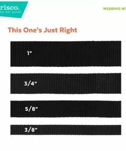 Frisco Solid Nylon Slip-On Martingale Dog Collar 11 Frisco Solid Nylon Slip-On Martingale Dog Collar -Pet Food Gear Shop 139163 PT6. SY630 V1628869315