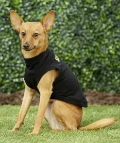 Frisco Security Dog & Cat T-Shirt -Pet Food Gear Shop 139500 PT6. SY630 V1624615676