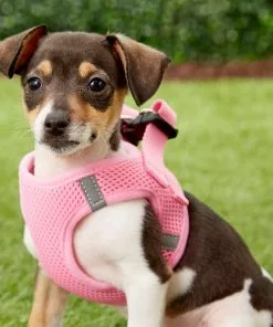 Frisco Small Breed Soft Vest Step In Back Clip Dog Harness -Pet Food Gear Shop 139821 PT1. SY630 V1522358087