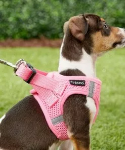 Frisco Small Breed Soft Vest Step In Back Clip Dog Harness -Pet Food Gear Shop 139821 PT5. SY630 V1561573781