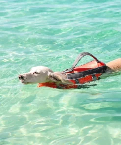 Frisco Ripstop Dog Life Jacket -Pet Food Gear Shop 140916 PT8. SY630 V1540476419