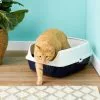 Frisco Open Top Cat Litter Box With Rim, Large 19-in -Pet Food Gear Shop 141377 MAIN. SY630 V1565284941