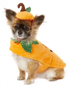 Frisco Pumpkin Dog & Cat Costume -Pet Food Gear Shop 144441 PT2. SY630 V1625868143