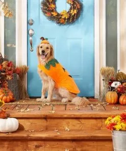 Frisco Pumpkin Dog & Cat Costume -Pet Food Gear Shop 144441 PT3. SY630 V1567175133