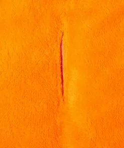 Frisco Pumpkin Dog & Cat Costume -Pet Food Gear Shop 144441 PT8. SY630 V1567182805