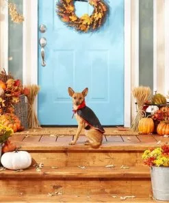 Frisco Vampire Cape Dog & Cat Costume -Pet Food Gear Shop 144487 PT3. SY630 V1567175264