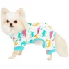 Frisco Dinosaur Print Dog & Cat Jersey PJs