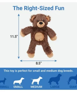 Frisco Plush with Inside Rope Squeaking Bear Dog Toy -Pet Food Gear Shop 147061 PT3. SY630 V1542751615