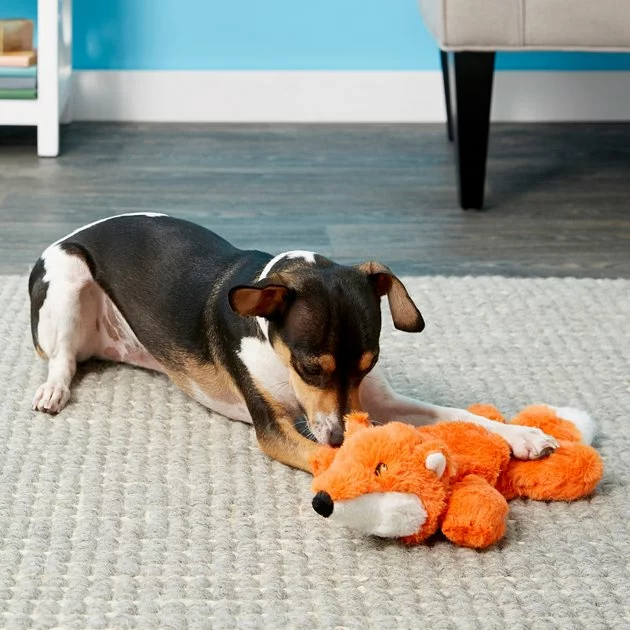 Frisco Plush with Inside Rope Squeaking Fox Dog Toy 4 Frisco Plush with Inside Rope Squeaking Fox Dog Toy - Image 2