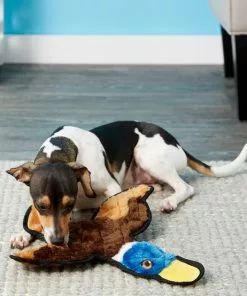 Frisco Flat Plush Squeaking Duck Dog Toy -Pet Food Gear Shop 147069 PT2. SY630 V1589405472