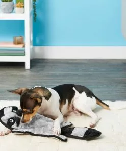 Frisco Flat Plush Squeaking Raccoon Dog Toy 7 Frisco Flat Plush Squeaking Raccoon Dog Toy -Pet Food Gear Shop 147071 PT2. SY630 V1589405480