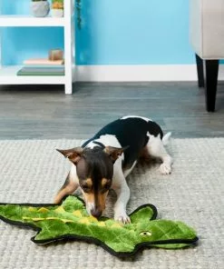 Frisco Flat Plush Squeaking Alligator Dog Toy -Pet Food Gear Shop 147073 PT2. SY630 V1589405461