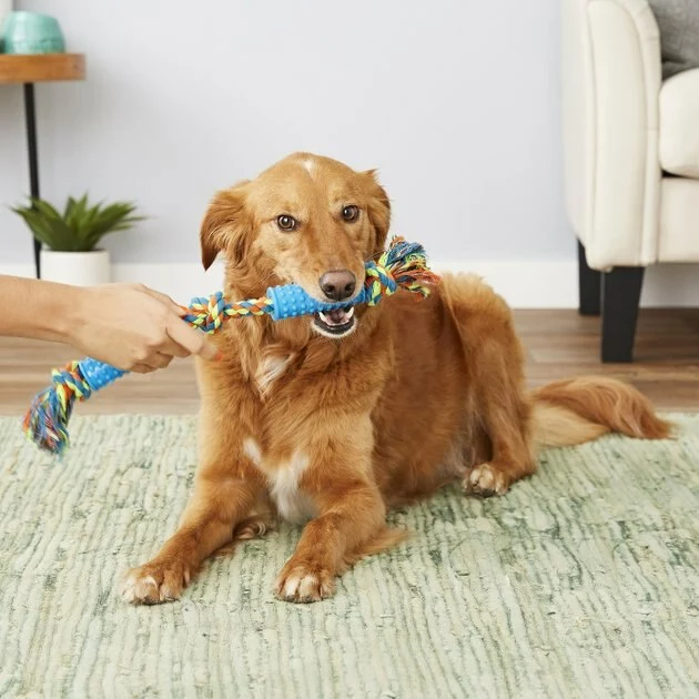 Frisco Rope with Double Handle Grip Dog Toy 4 Frisco Rope with Double Handle Grip Dog Toy - Image 2
