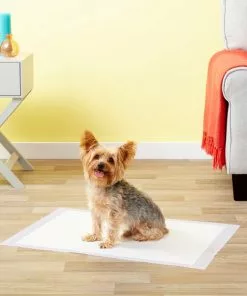 Frisco Dog Training Pads, 21 x 21-in, 100 count, Floral Scented -Pet Food Gear Shop 149818 PT6. SY630 V1624485161