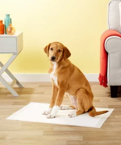 Frisco Dog Training Pads, 21 x 30-in, 30 count, Floral Scented 15 Frisco Dog Training Pads, 21 x 30-in, 30 count, Floral Scented -Pet Food Gear Shop 149820 PT6. SY630 V1624495383