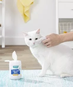 Frisco Moisturizing Tear Stain Wipes with Aloe for Dogs & Cats -Pet Food Gear Shop 152585 PT5. SY630 V1556122637