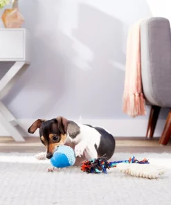 Frisco Hide & Seek Plush Chewy Box Puzzle Dog Toy Refills -Pet Food Gear Shop 152818 PT2. SY630 V1549654939