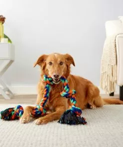 Frisco Rope with 5 Knots Dog Toy -Pet Food Gear Shop 152836 PT2. SY630 V1549655007