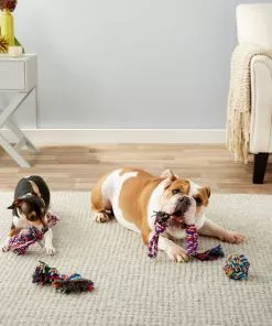 Frisco Rope Multipack for Small to Medium Dog Toys, 4 count -Pet Food Gear Shop 152838 PT2. SY630 V1549655022