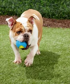 Frisco Tennis Ball with Rubber Sleeve, Medium -Pet Food Gear Shop 152844 PT3. SY630 V1549655064