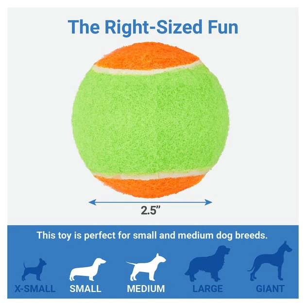 Frisco Fetch Squeaking Colorful Tennis Ball Dog Toy, 3-Pack 4 Frisco Fetch Squeaking Colorful Tennis Ball Dog Toy, 3-Pack - Image 2