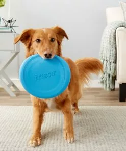 Frisco Fetch Rubber Flyer Dog Toy -Pet Food Gear Shop 152848 PT2. SY630 V1549655092