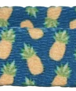 Frisco Pineapple Polyester Breakaway Cat Collar with Bell -Pet Food Gear Shop 153158 PT3. SY630 V1568380088 scaled