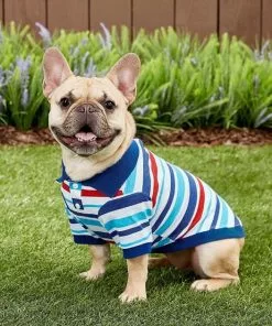 Frisco Striped Dog & Cat Polo Shirt, Red & Blue -Pet Food Gear Shop 153589 PT6. SY630 V1624902158
