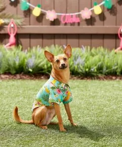 Frisco Pineapple Hawaiian Camp Dog & Cat Shirt -Pet Food Gear Shop 153596 PT7. SY630 V1644884316