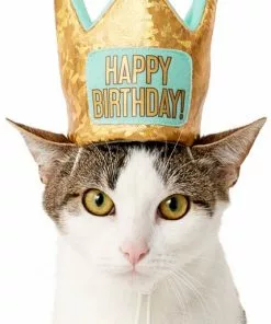 Frisco Happy Birthday Dog & Cat Crown -Pet Food Gear Shop 153665 PT2. SY630 V1551230979