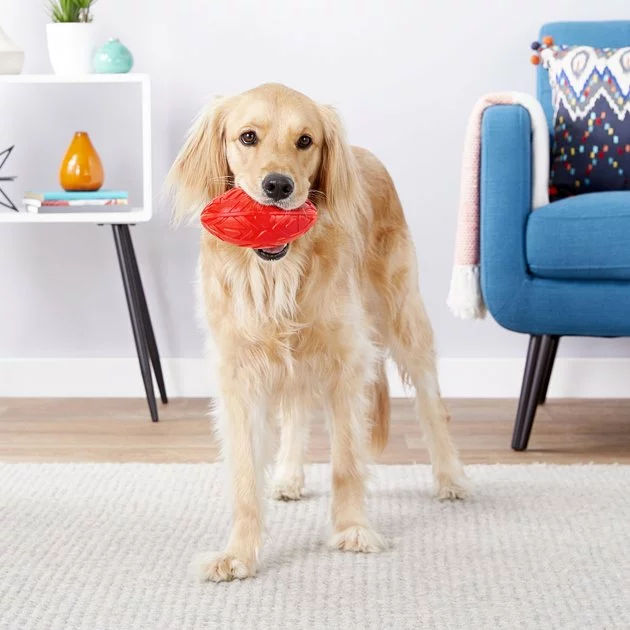 Frisco Squeaky Football Dog Toy 5 Frisco Squeaky Football Dog Toy - Image 3