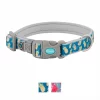 Frisco Patterned Neoprene Dog Collar