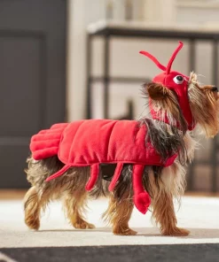 Frisco Red Lobster Dog & Cat Costume -Pet Food Gear Shop 158722 PT6. SY630 V1659023722