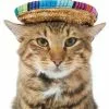 Frisco Dog & Cat Sombrero Hat -Pet Food Gear Shop 158881 MAIN. SY630 V1625076472