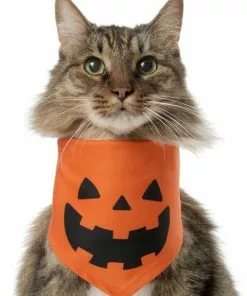 Frisco Jack O' Lantern Pumpkin Dog & Cat Hoodie -Pet Food Gear Shop 158886 PT2. SY630 V1637668889