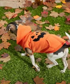 Frisco Jack O' Lantern Pumpkin Dog & Cat Hoodie -Pet Food Gear Shop 158886 PT8. SY630 V1599140774