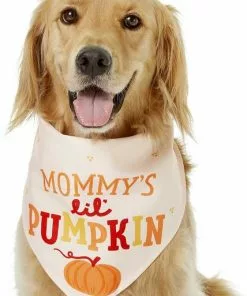 Frisco Mommy's Lil Pumpkin Dog & Cat Bandana -Pet Food Gear Shop 158936 PT3. SY630 V1633078003