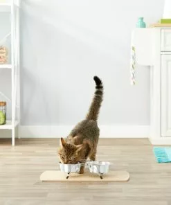 Frisco Non-Skid Elevated Dog & Cat Diner -Pet Food Gear Shop 159881 PT4. SY630 V1561123082