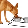 Frisco Pyramid Elevated Dog & Cat Diner -Pet Food Gear Shop 159883 MAIN. SY630 V1583424780