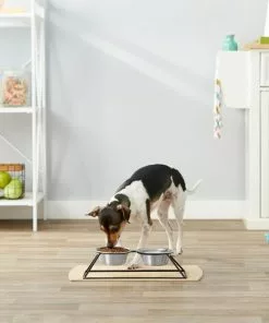 Frisco Pyramid Elevated Dog & Cat Diner -Pet Food Gear Shop 159883 PT3. SY630 V1561123335