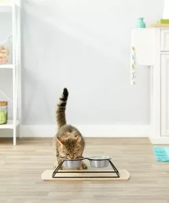 Frisco Pyramid Elevated Dog & Cat Diner -Pet Food Gear Shop 159883 PT4. SY630 V1561123329