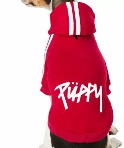 Frisco Püppy Dog & Cat Athletic Hoodie -Pet Food Gear Shop 160339 PT2. SY630 V1637651502