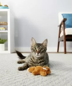 Frisco Refillable Catnip Cat Toy -Pet Food Gear Shop 161271 PT2. SY630 V1568910005